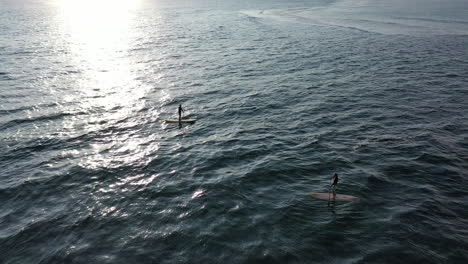 aerial view of people paddleboarding on sup boards in the ocean in the waters of reunion island