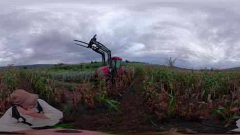 360 vr de un hombre con un palo para selfies moviéndose por un campo de maíz mientras un tractor lo atraviesa