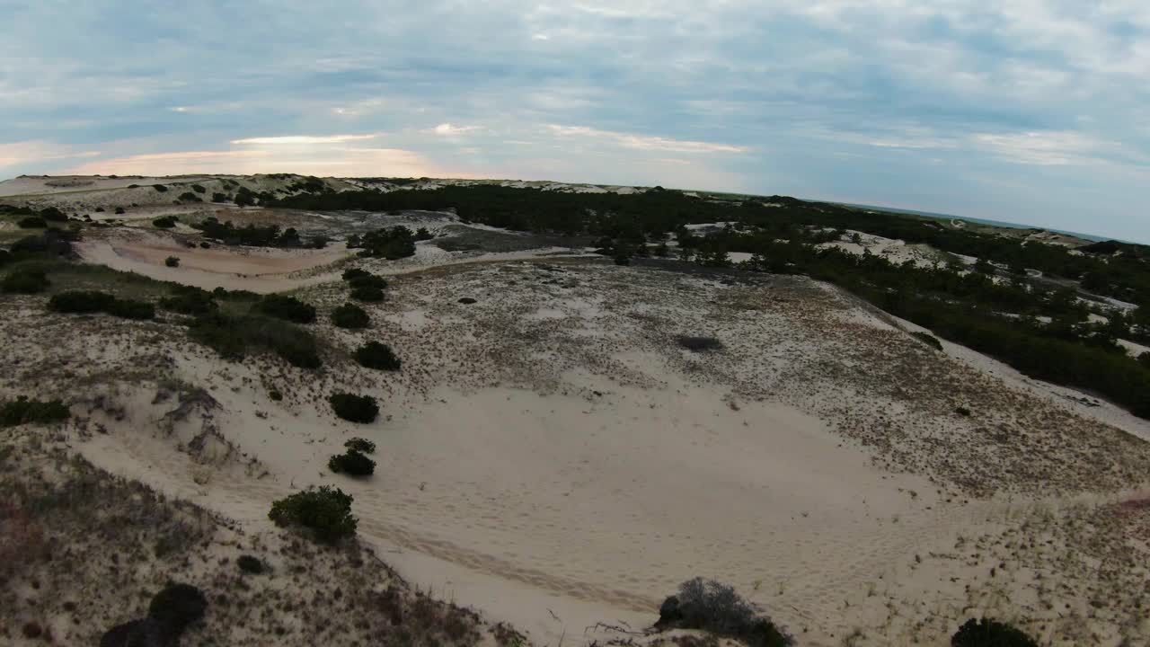 pintoresca toma aérea de primer plano del paisaje desértico con follaje exuberante, dunas de arena blanca y senderos que conducen al océano atlántico
