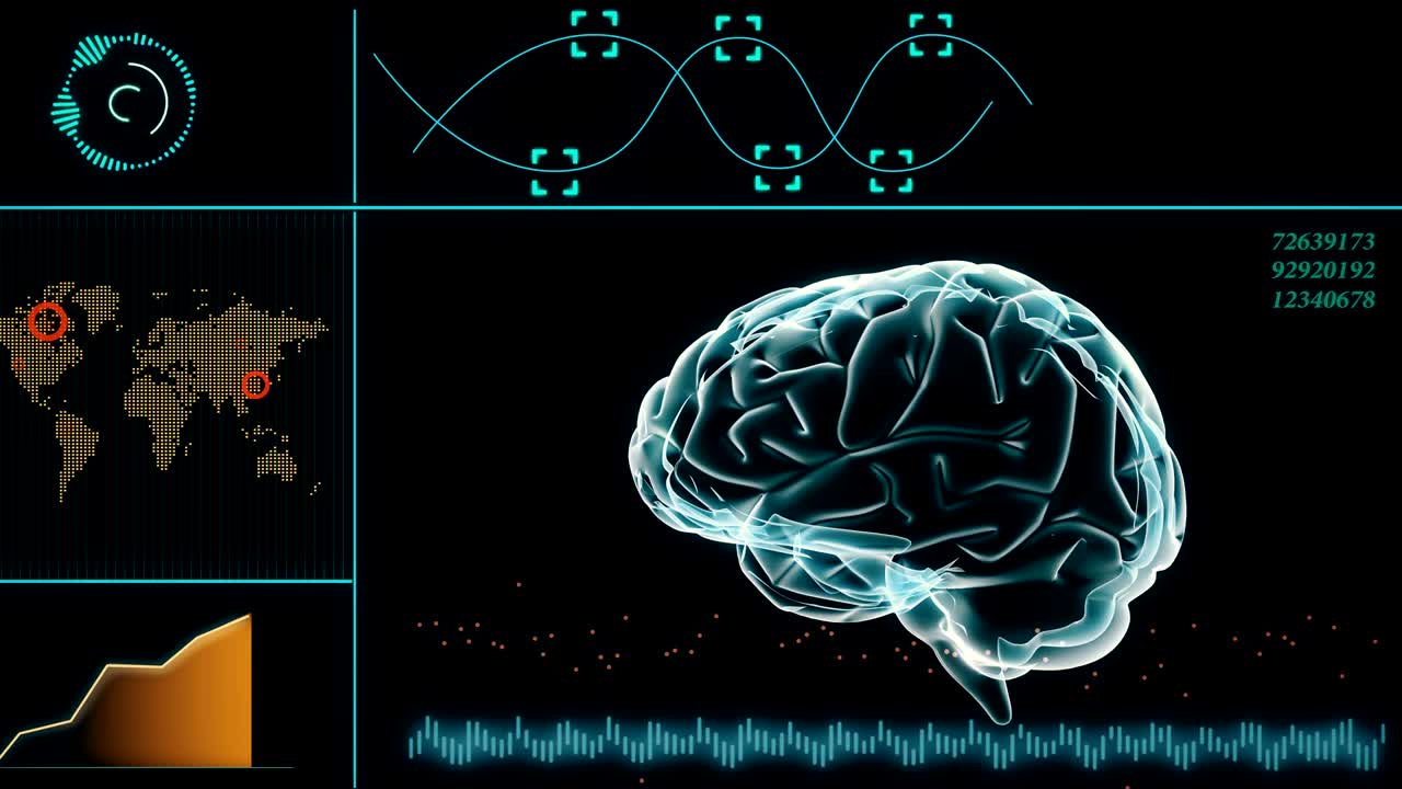 시엄리스 루프: 인간 뇌 4k