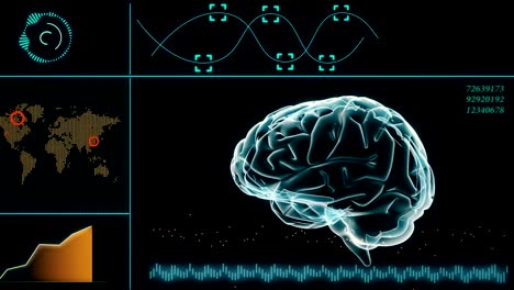 bucle sin costuras: cerebro humano 4k