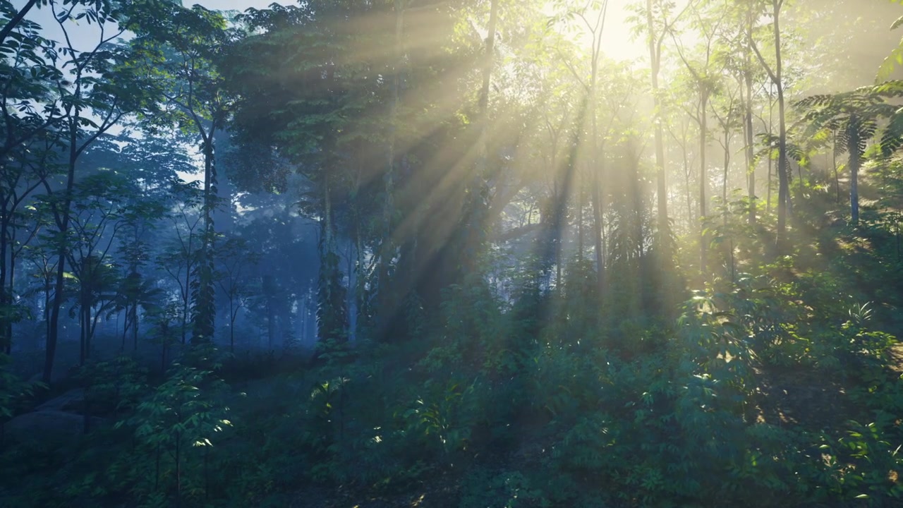 Ancient thai jungle awakens under soft green mist and silent aura