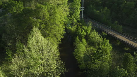 aerial shot of wolf river flowing through lush greenery in collierville, tn, in bright daylight