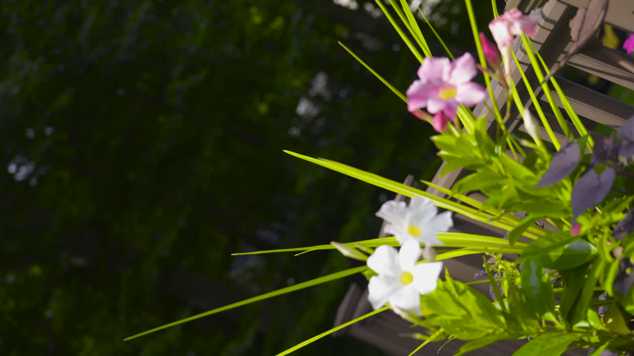 꽃의 플랜터로 끌어당기는 소용돌이