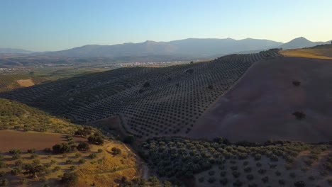 Toma-Aérea-Durante-La-Puesta-De-Sol-De-Algunas-Colinas-Y-Montañas-Llenas-De-Campos-De-Olivos-En-Andalucía,-España