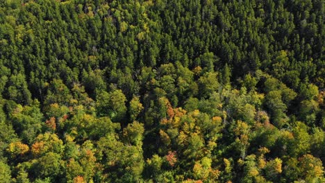 Luftdrohnenaufnahme,-Die-Nach-Vorne-Fliegt-Und-Sich-Nach-Oben-Neigt,-Um-Einen-Felsvorsprung-Auf-Dem-Berggipfel-Freizulegen,-Wenn-Der-Sommer-Zu-Ende-Geht-Und-Die-Sommersaison-In-Maine-Zum-Herbst-übergeht