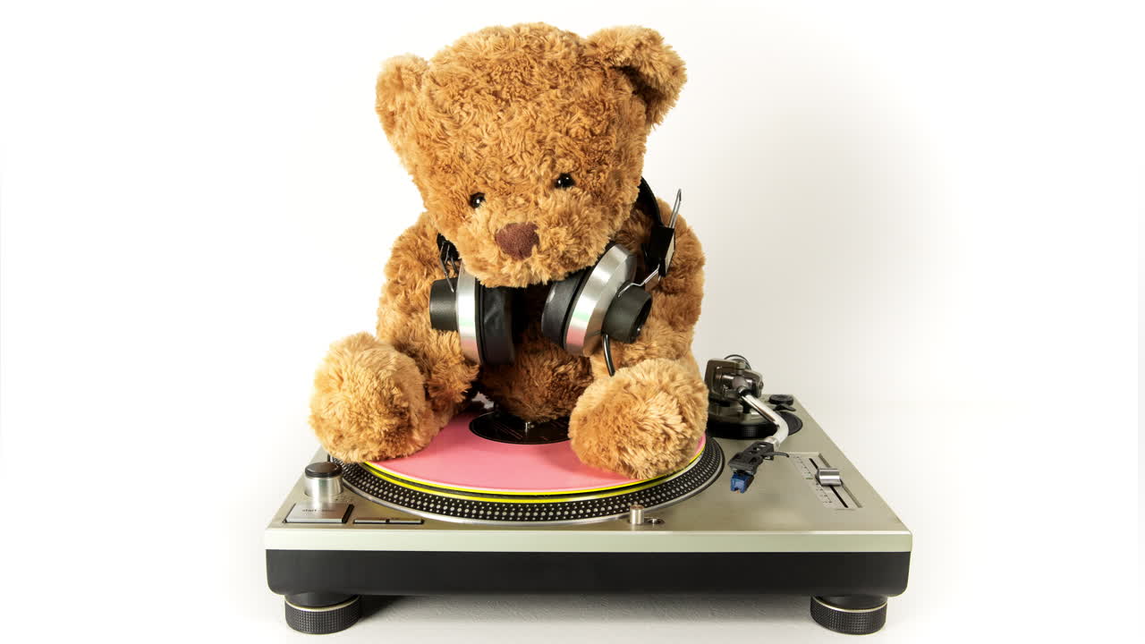 el dj del oso de peluche