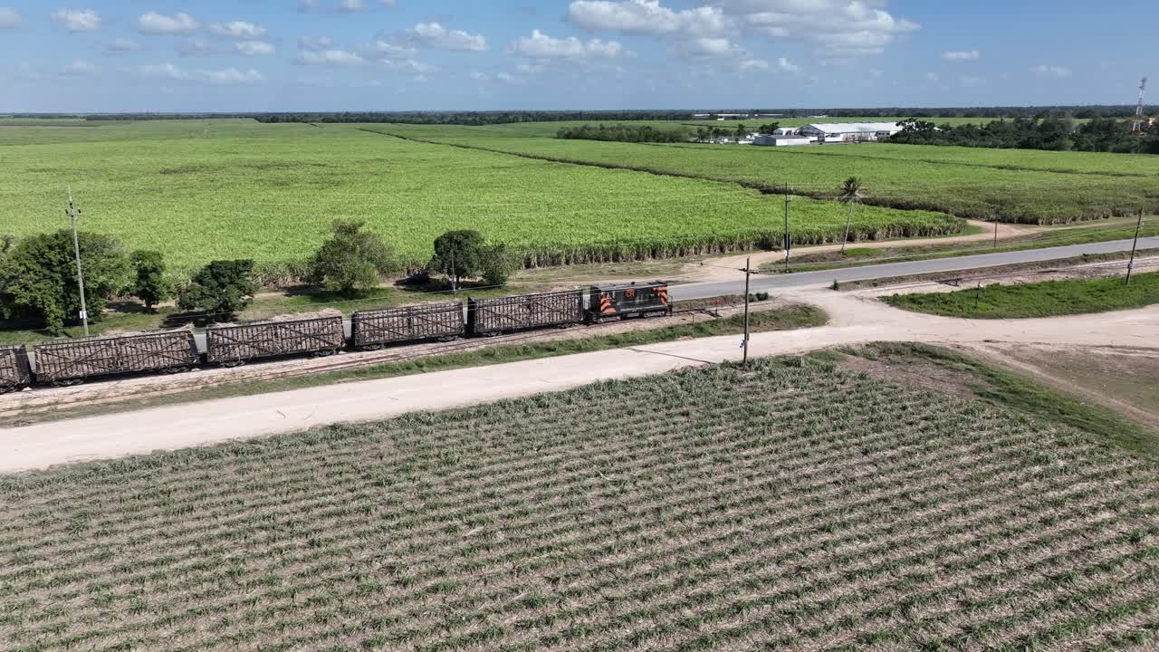 Tog lastet med sukkerrørshøst passerer langs dyrkede marker, Higueral, La Romana i Den Dominikanske Republik