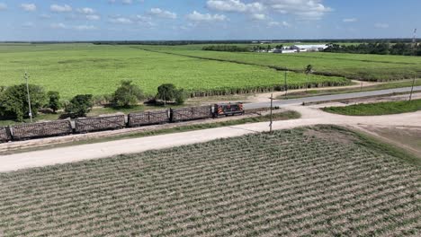 tren cargado de cosecha de caña de azúcar que pasa a lo largo de campos cultivados, higueral, la romana en la república dominicana