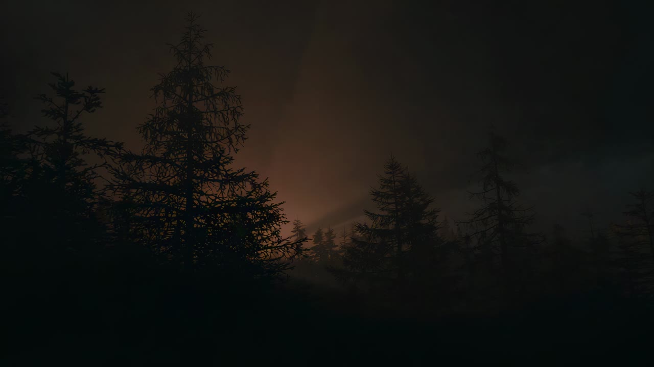 Una tenue e calda luce che appare dietro ai pini che crescono nel raggio, proiettando raggi attraverso la nebbia di notte