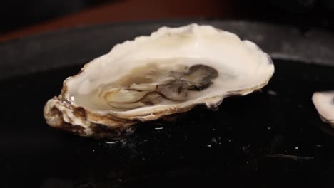 open oyster on a plate