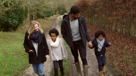 Familie,-Die-Einen-Weg-In-Der-Landschaft-Entlang-Geht,-Aufgenommen-Auf-R3D