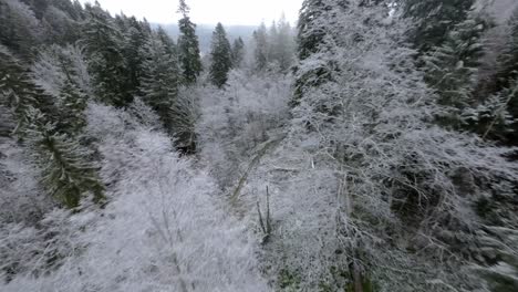 FPV-Flying-Over-High-Rise-Green-Trees-In-Bucegi-Forest,-Romania