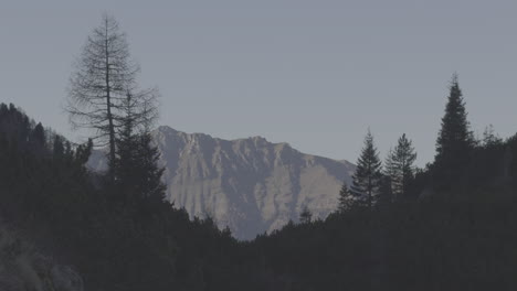 mountain range in forest