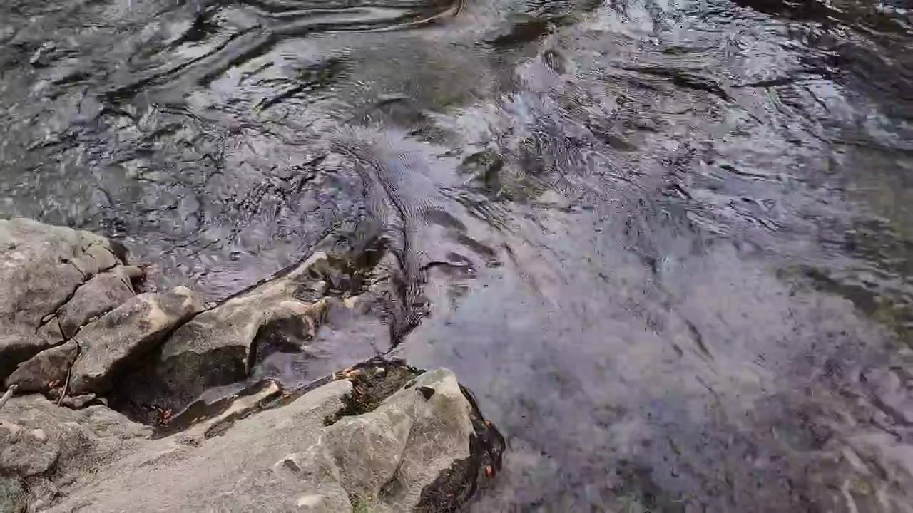 Vista dell'acqua che scorre accanto a formazioni rocciose.