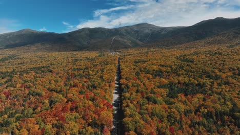 vista aérea de los bosques de otoño y el camino rural en nueva inglaterra - toma de dron