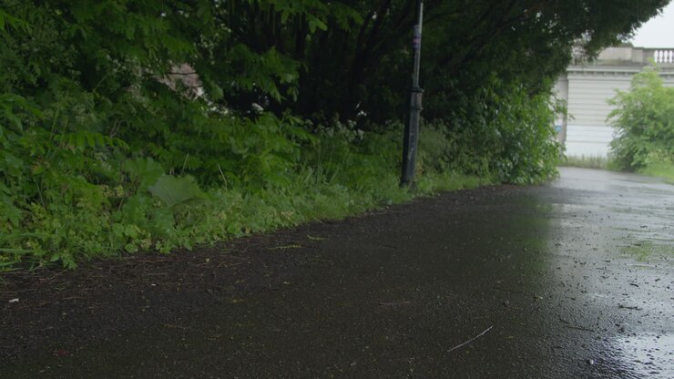 Rain Falling On Path Running Through Park