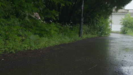 rain falling on path running through park