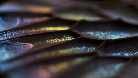 close-up of iridescent scales with shimmering colors