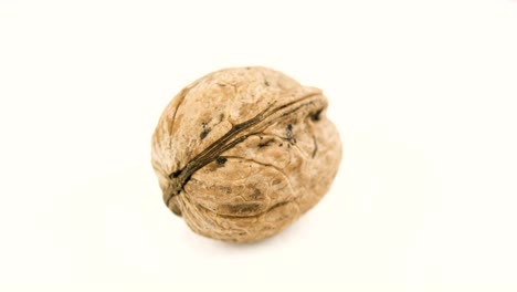 walnut close up footage.close up macro shots.peeled walnut rotate. white background.