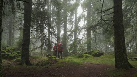 Wanderer-Mit-Schwarzem-Hund-In-Einem-Nebligen-Wald-Mit-Hohen-Bäumen