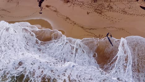 top down aerial view of person walking dog along the beach with silhouette shadows and huge waves