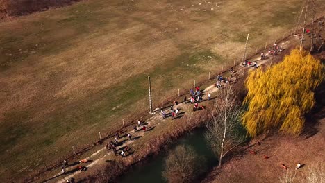 Aerial-view-of-a-group-of-people-walking-and-exercising-their-dogs-off-leash,-on-a-country-road