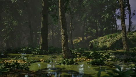 serene forest landscape with lush greenery and tranquil water body