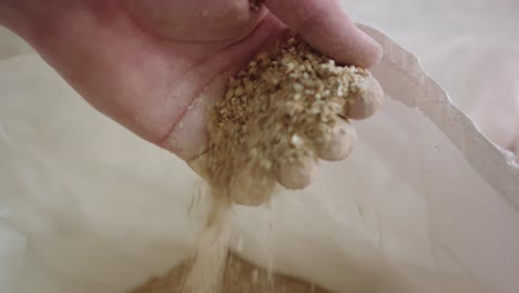 the brewer takes a handful of wheat from the bag in the brewery