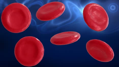 Animation-of-micro-of-red-blood-cells-on-blue-background