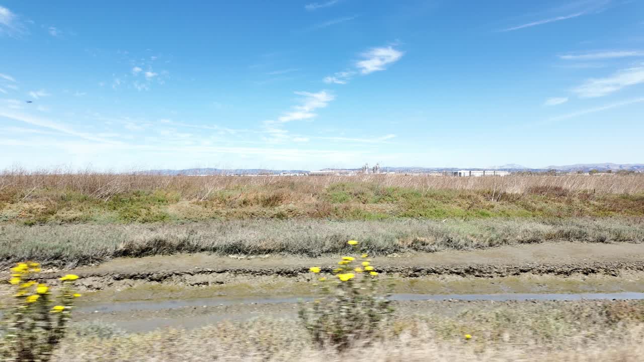 Panning view of the wetlands and shoreline habitat at a Nature Recreation Area in Hayward California