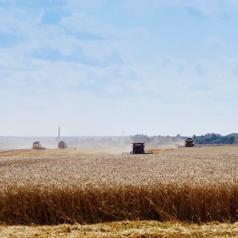 Combine working on wheat field