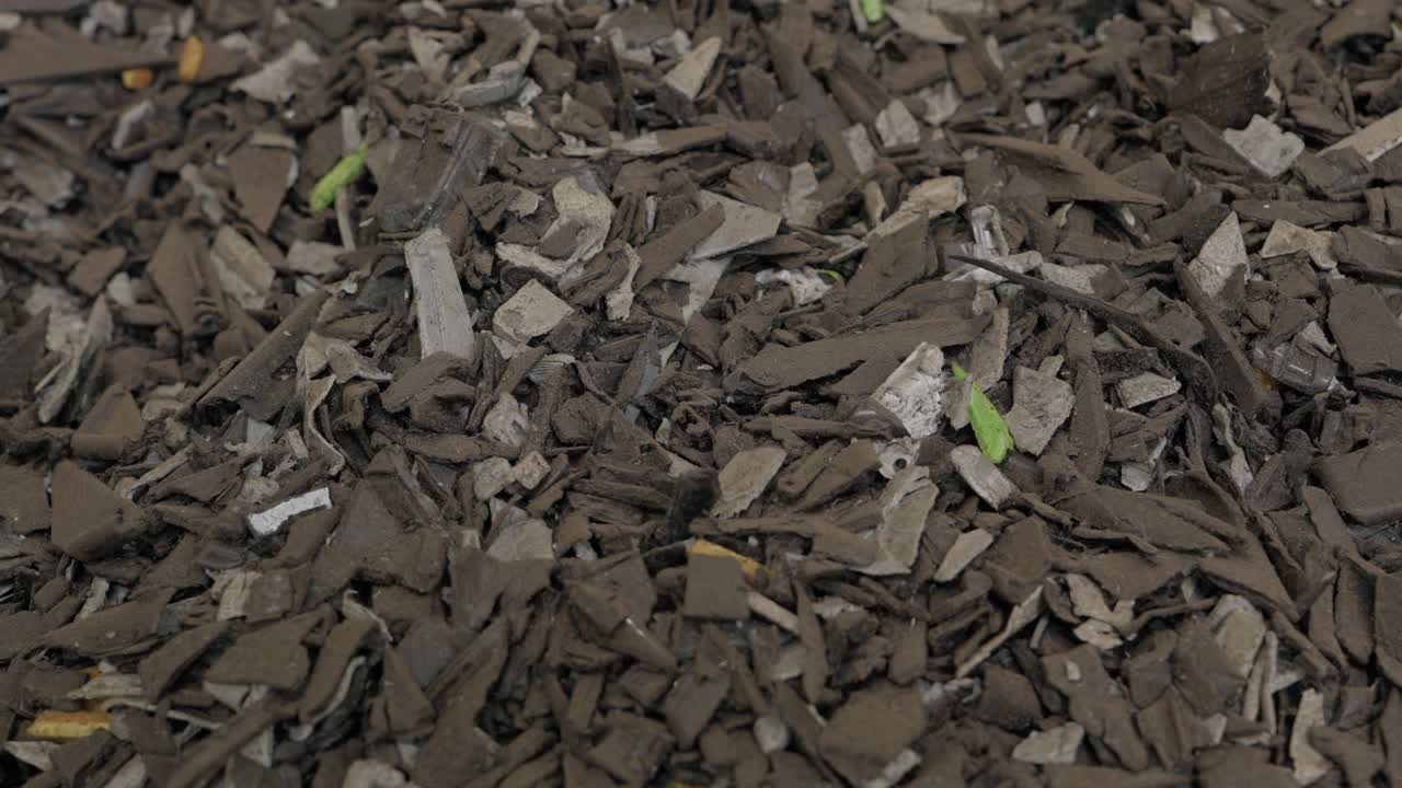 Closeup of shredded mixed dark plastic and rubber fragments with small green sprouts on ground outdoors