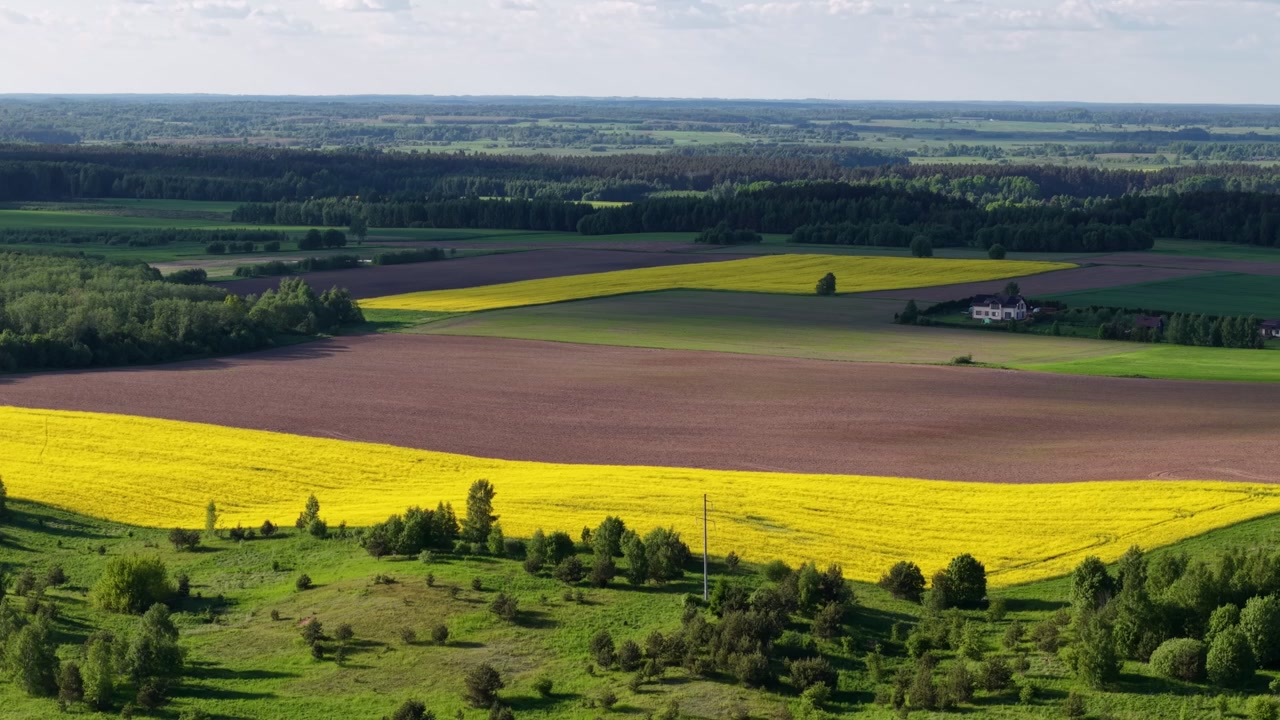 Drone panning over geometric patchwork of yellow rapeseed and dark plowed fields