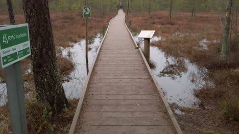 estonia, lahemaa national park, viru raba vaatetorn, walking path inside the forest