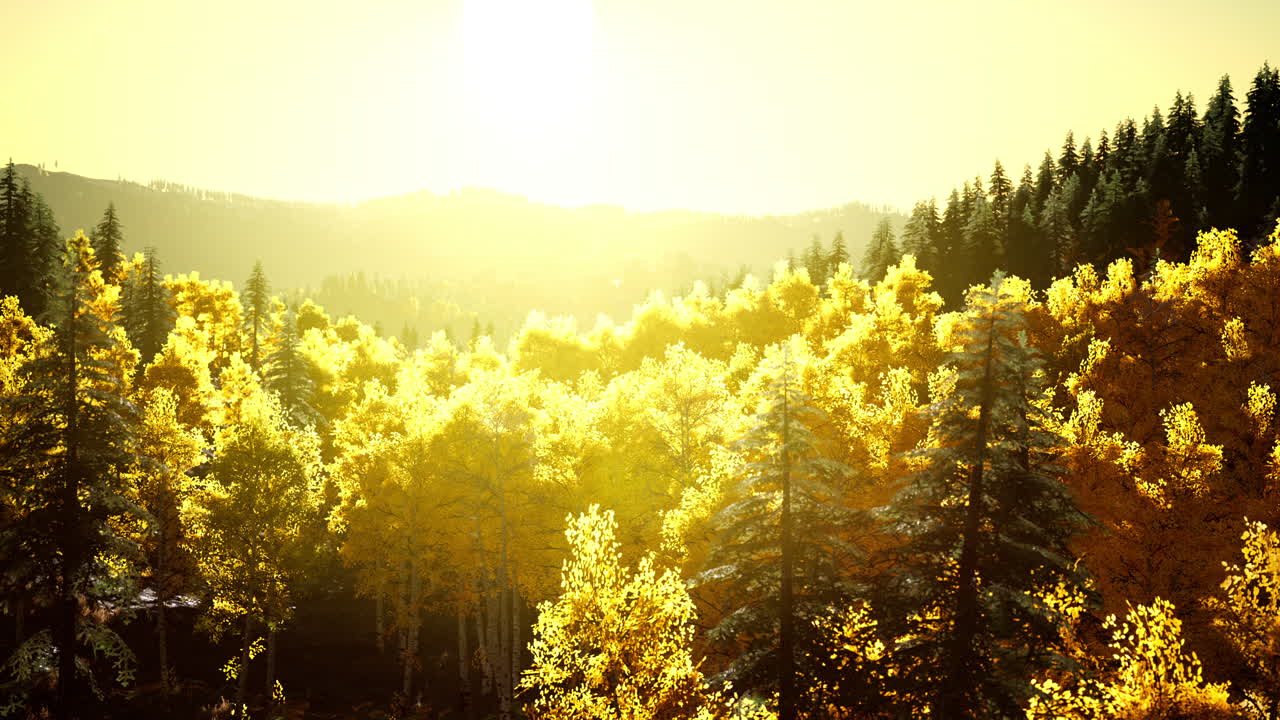 산에서 밝은 해가 지는 것