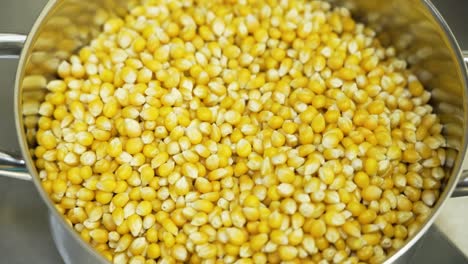 corn kernels, ready to be produced into delicious popcorn, handheld close-up shot