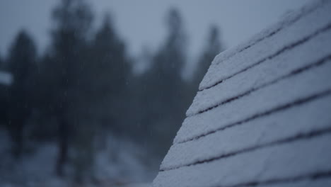 Snowfall-on-a-rooftop-amidst-the-Colorado-mountains-in-winter,-with-snow-covered-trees-in-the-background