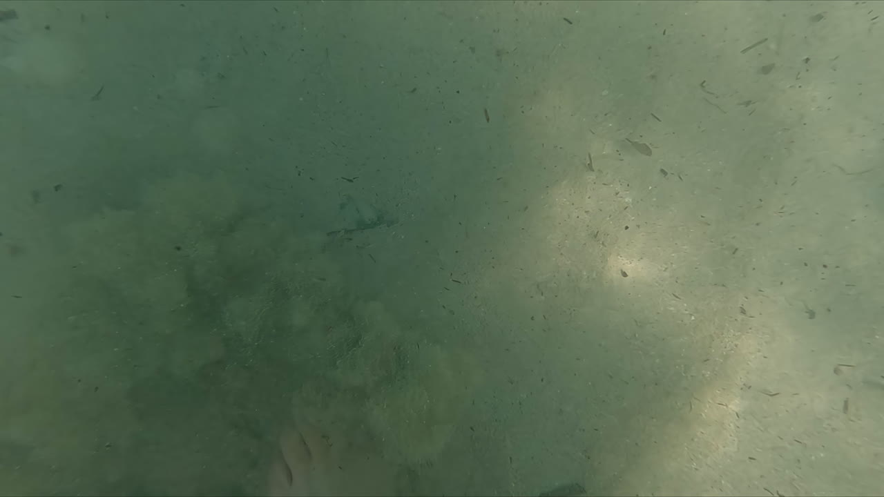 pov birdeye filmado mientras caminaba por la arena fina en el mar azul con olas tranquilas en la playa de malta durante un aventurero viaje en cámara lenta