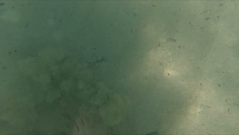 POV-birdeye-shot-while-walking-through-fine-sand-in-blue-sea-with-calm-waves-on-malta-beach-during-adventurous-journey-in-slow-motion