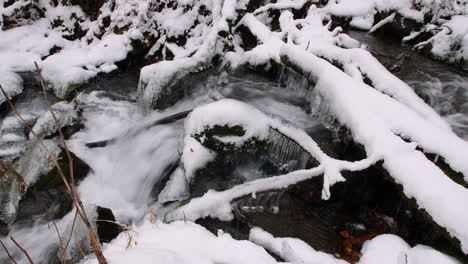 panorámica de derecha a izquierda a lo largo de un pequeño arroyo que fluye sobre rocas y hielo en un bosque cubierto de nieve en alaska