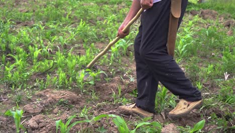 Hard-work-on-soil-by-using-a-shovel