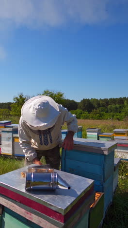 apiary in a sunny day among nature. beekeeper in protective hat checking beehives in summer. bees carrying honey into hives. apiculture concept. vertical video