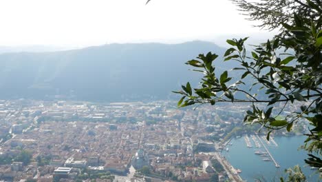 mountains and como city from above, green tree in foreground, handheld