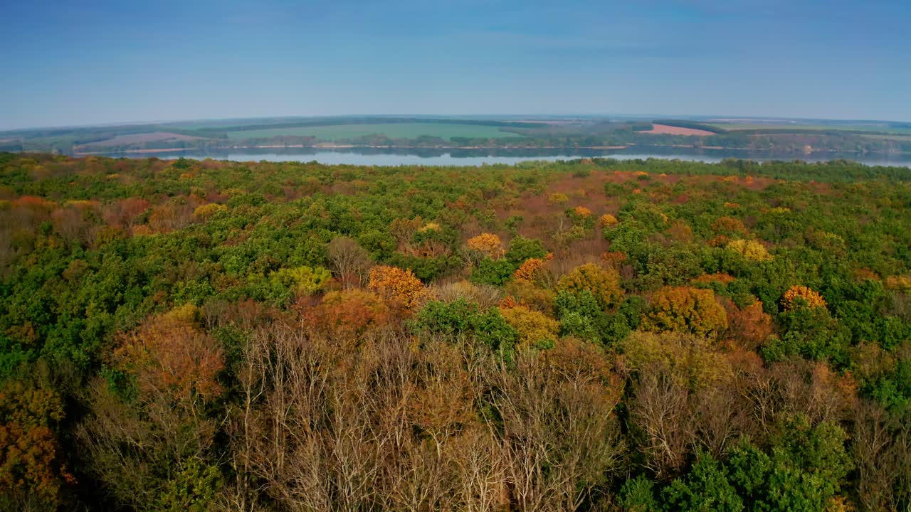 Forest at fall on river background. Flying over colorful trees in autumn season. Amazing nature scenery. Camera moves forward. Aerial view.