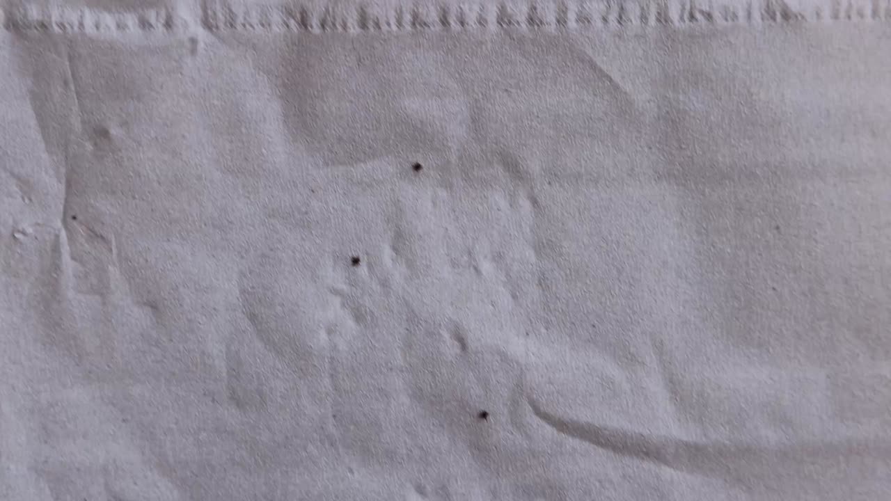 overhead 3 ticks crawling around after being removed from a person after a hike