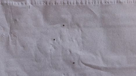overhead 3 ticks crawling around after being removed from a person after a hike