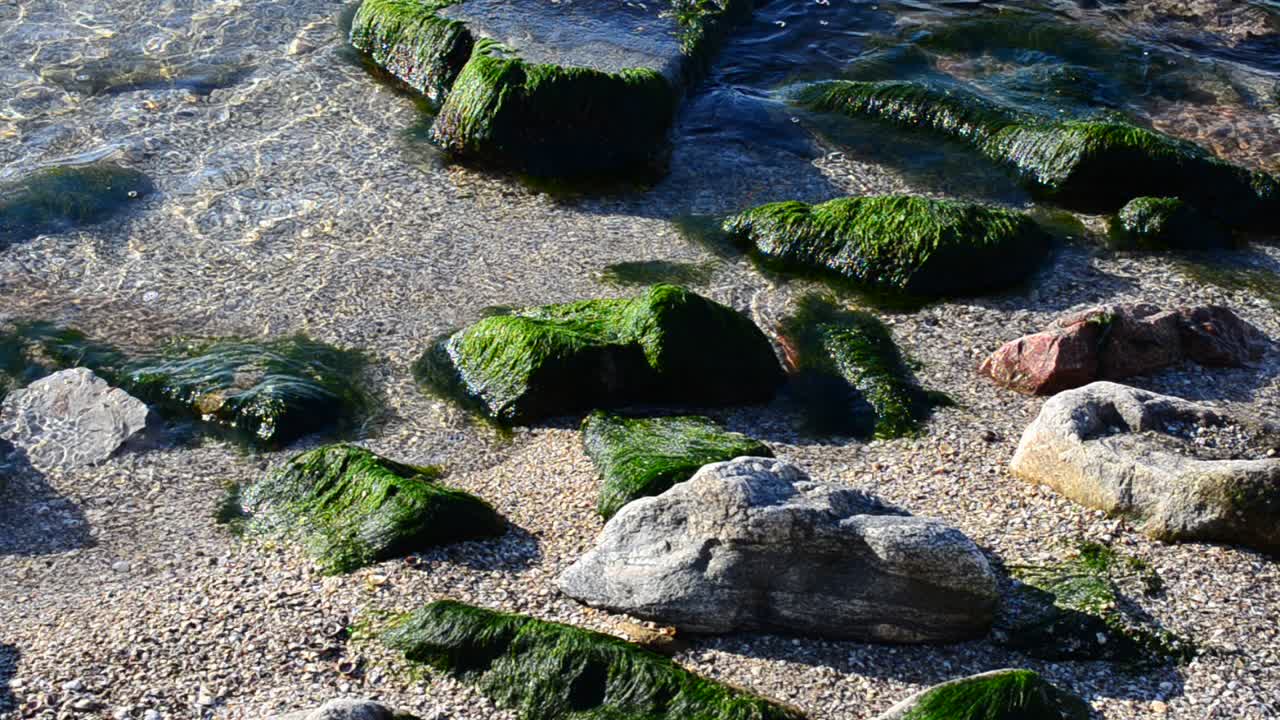 Sabbia e sassi, onda costiera. Paesaggio estivo