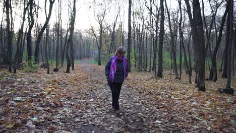 mujer caminando en el bosque de otoño