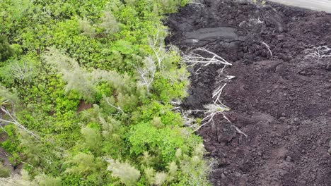 2018 lava flow with untouched forest viewed from above